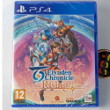 Eiyuden Chronicle: Rising +Cards PS4 Red Art Games New RPG (EN-ES-FR-IT-DE-PT)