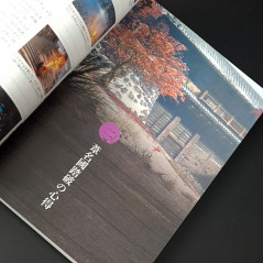 Sekiro Shadows Die Twice Edição jogo do Ano – BEM VINDO SASKE STORE JAPAN