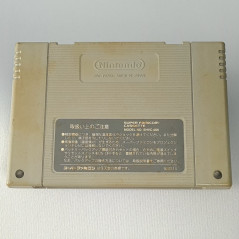 Hanjyuku Hero: Aah Sekai yo Hanjuku Nare (Cartridge Only) Super Famicom Japan Game Nintendo SFC SquareSoft RPG