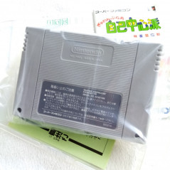 Gambler Jiko Chuushinha Mahjong Kouisen Super Famicom (Nintendo SFC) Japan Ver. 1992 Palsoft SHVC-GJ
