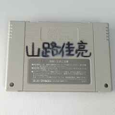 Dragon Ball Z: Super Saiya Densetsu (Cartridge Only) Super Famicom Japan SFC Nintendo RPG Bandai 1992 DBZ