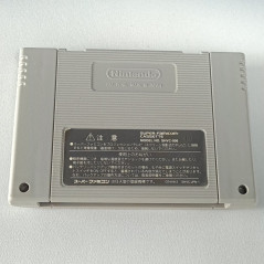 Super Donkey Kong 2: Dixie & Diddy Super Famicom Japan Game Nintendo SFC Platform 1995 SHVC-ADNJ-JPN