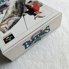 Super Black Bass Super Famicom (Nintendo SFC) Japan Ver. Fishing Hot B 1992 SHVC-BQ