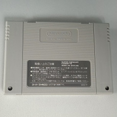 Brain Lord (TBE) Super Famicom Japan Game Nintendo SFC Action RPG Enix Produce 1994