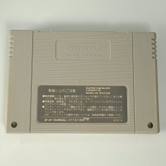 Brain Lord Super Famicom Japan Game Nintendo SFC Action RPG Enix Produce 1994