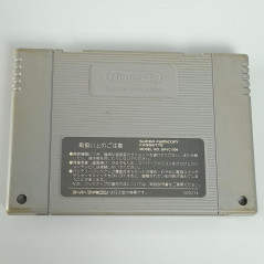 Dragon Ball Z super Butouden (Card Only) Super Famicom SFC Nintendo DBZ Dragonball Fighting Bandai