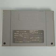 Ranma 1/2 Chougi RanbuHen Super Famicom (Nintendo SFC) Japan Ver. Fighting  SHVC-5K