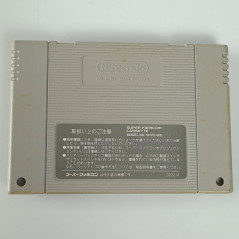 Final Fantasy VI Super Famicom Japan Game Nintendo SFC FF6 RPG Squaresoft 1994
