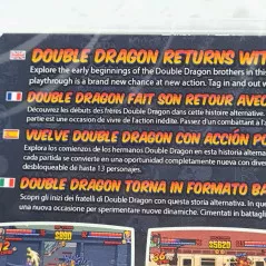 Double Dragon Gaiden: Rise Of The Dragons PS4 EU Game In EN-FR-DE