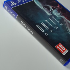 Until Dawn PS4 FR Game in Multi-Language Survival Horror Interactive Adventure