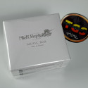 NieR Replicant ver.1.22474487139... Music Box - Ashes of Dreams Square Enix Japan NEW