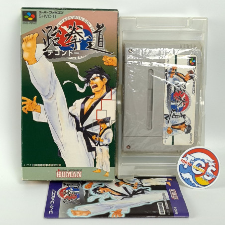 TAEKWON-DO Super Famicom Japan Game Nintendo SFC Taekwondo Human SHVC-II