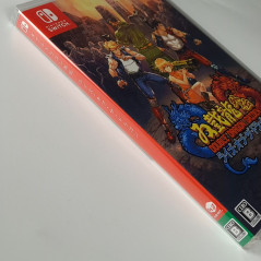 Double Dragon Gaiden: Rise Of The Dragons Nintendo SWITCH Japan Multi-Language NEW Beat'em Up