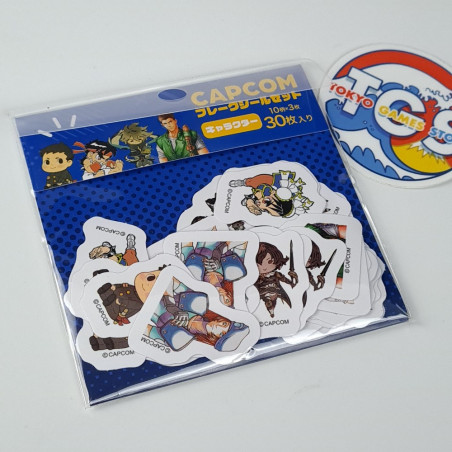 Street Fighter Character Sticker Sheet